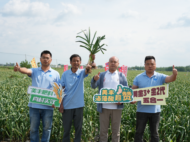 夏攻行动：永利3044noc护航夏粮丰产丰收
