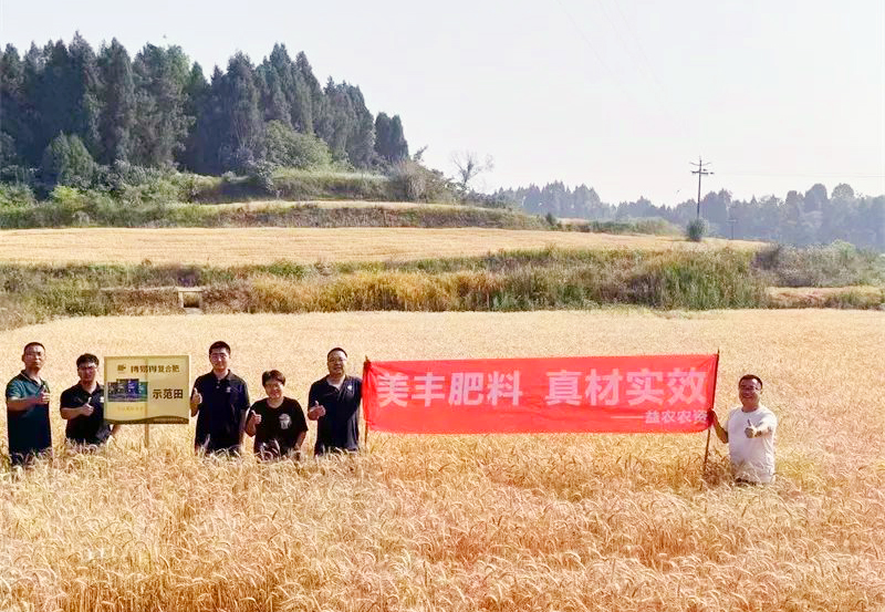 夏攻行动：永利3044noc方案助力小麦增收